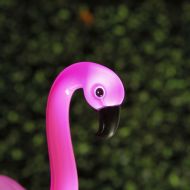 LED solárne flamingo